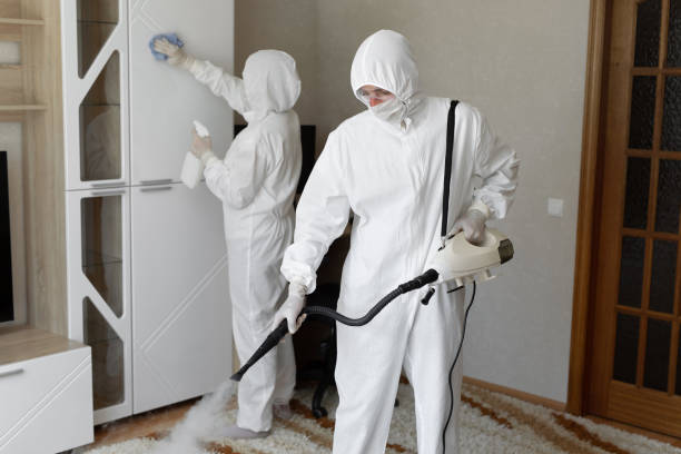 Best Attic Mold Removal  in Chigan Center, MI