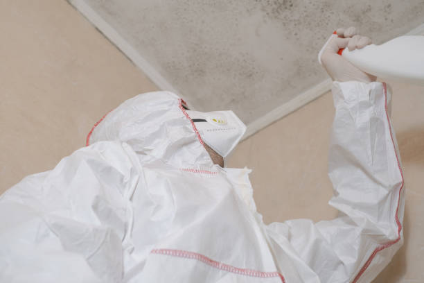 Best Crawl Space Mold Removal  in Chigan Center, MI